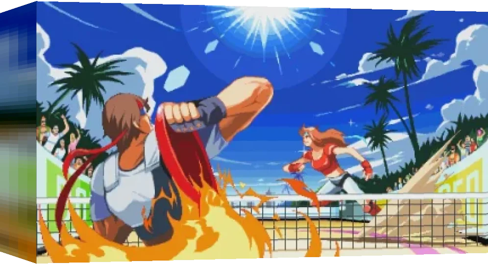 Windjammers — box-3D (WOR)