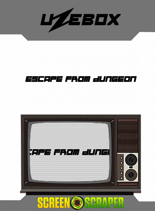 Escape From Dungeon box art