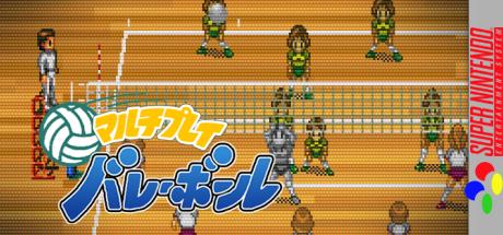 Multi Play Volleyball — steamgrid