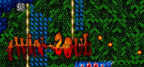 Twin Soul — steamgrid