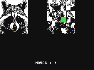 Puzzles — ss (WOR)