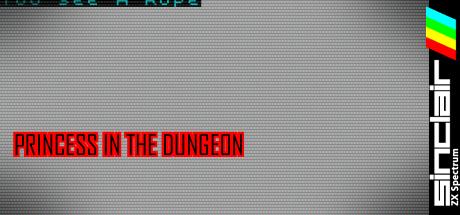 Princess in the Dungeon — steamgrid
