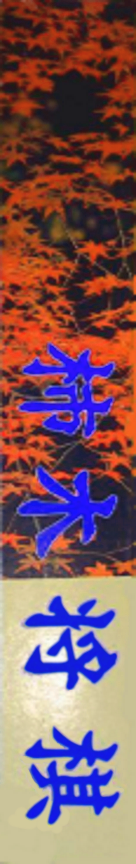 Kakinoki Shougi — box-2D-side (JP)