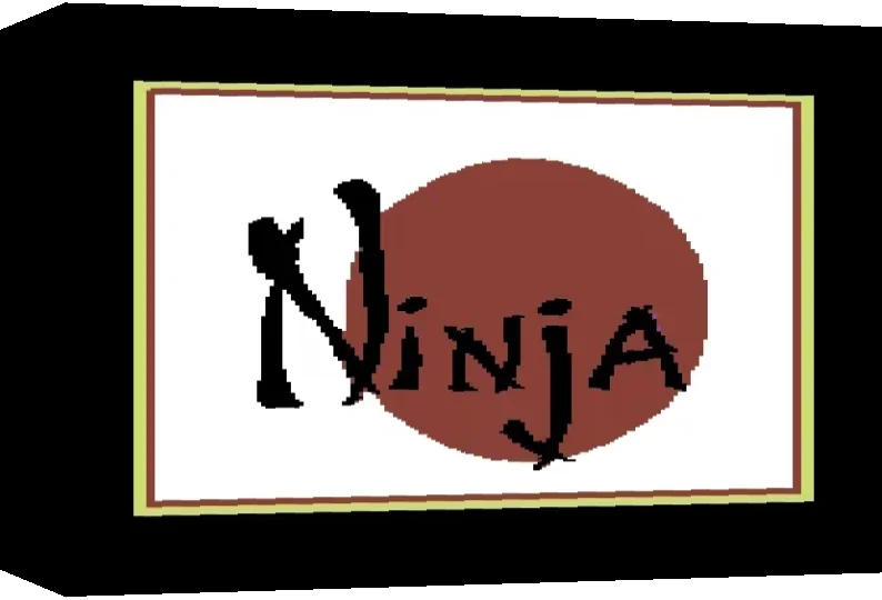Master Ninja - Shadow Warrior Of Death — box-3D (WOR)