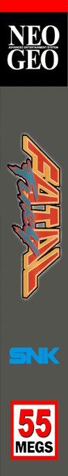 Fatal Fury : King of Fighters — box-2D-side (WOR)
