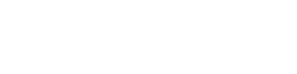 Intelligence I — wheel (EU)