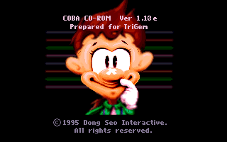 Coba on the Run 1 box art