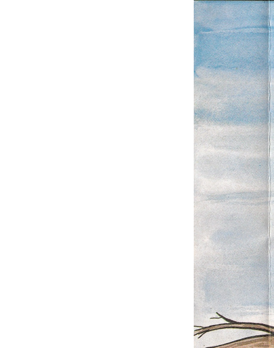 Ossie — box-2D-back (EU)