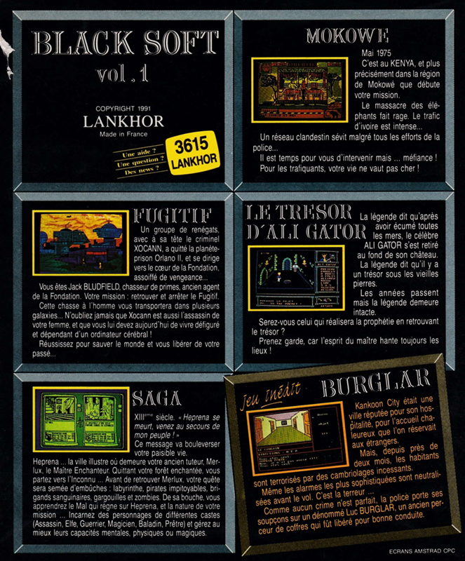 Burglar — box-2D-back (FR)