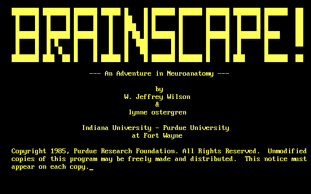Brainscape box art