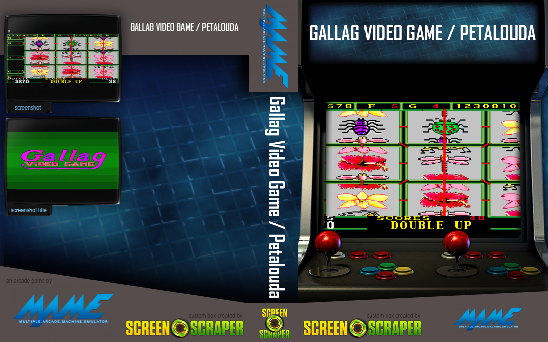 Gallag Video Game / Petalouda — box-texture (SS)