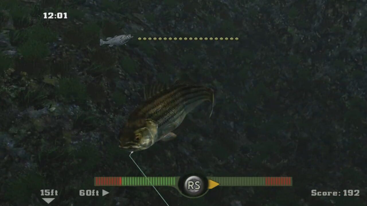 Rapala Fishing Frenzy 2009 — screenshot (WOR)