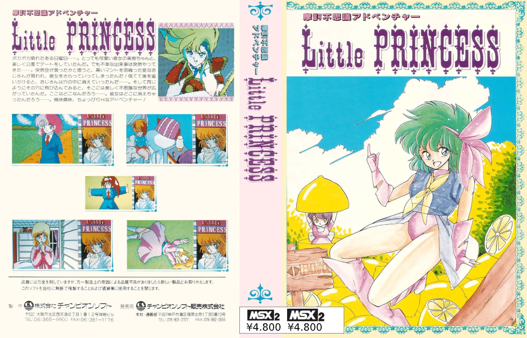 Wonderful Adventures Of A Little Princess — box-texture (JP)