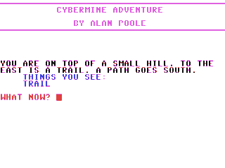 Cybermine Adventure — ss (WOR)
