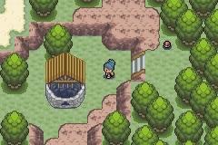 Pokemon : Dark Cry Version — ss (WOR)