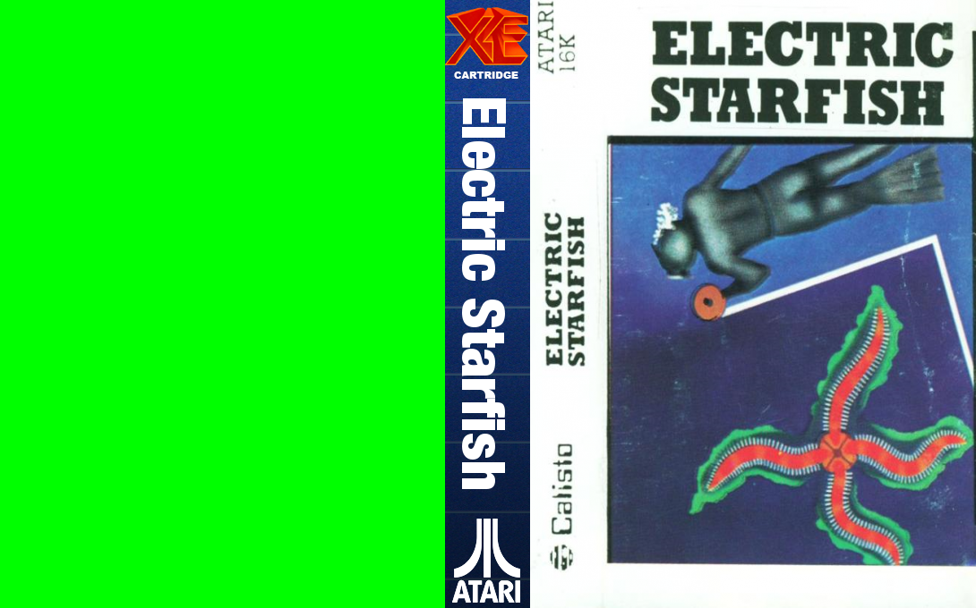 Electric Starfish — box-texture (US)