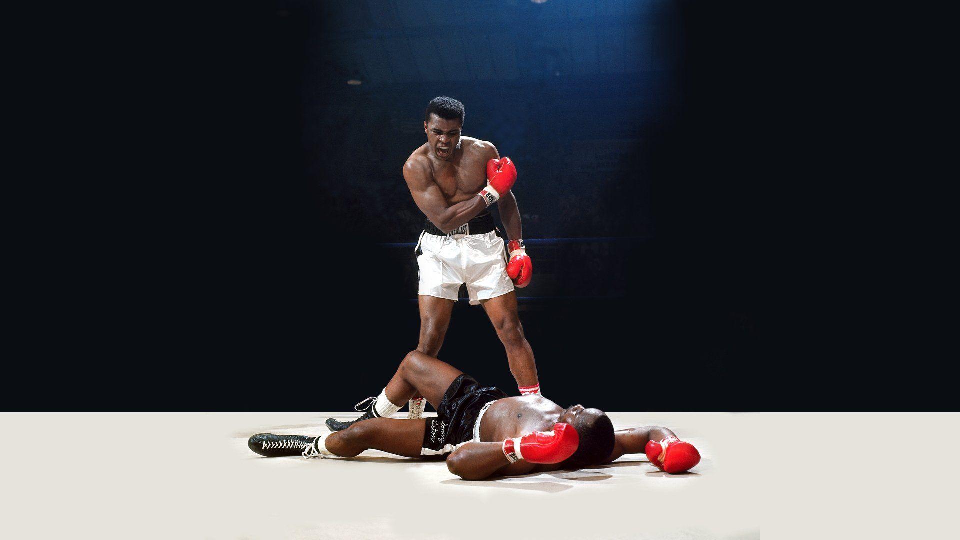 4D Sports Boxing — fanart