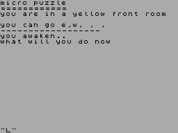 Micro Puzzle — ss (WOR)
