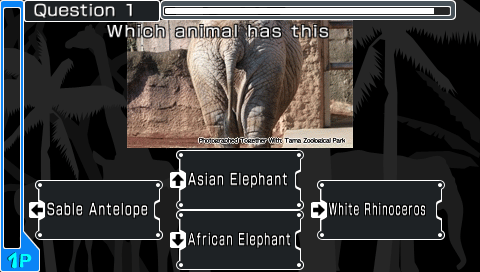 Quiz Animania — ss (WOR)