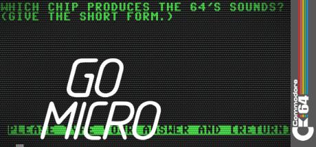 Go Micro — steamgrid