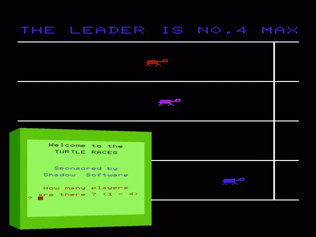 Turtle Races — mixrbv2 (WOR)