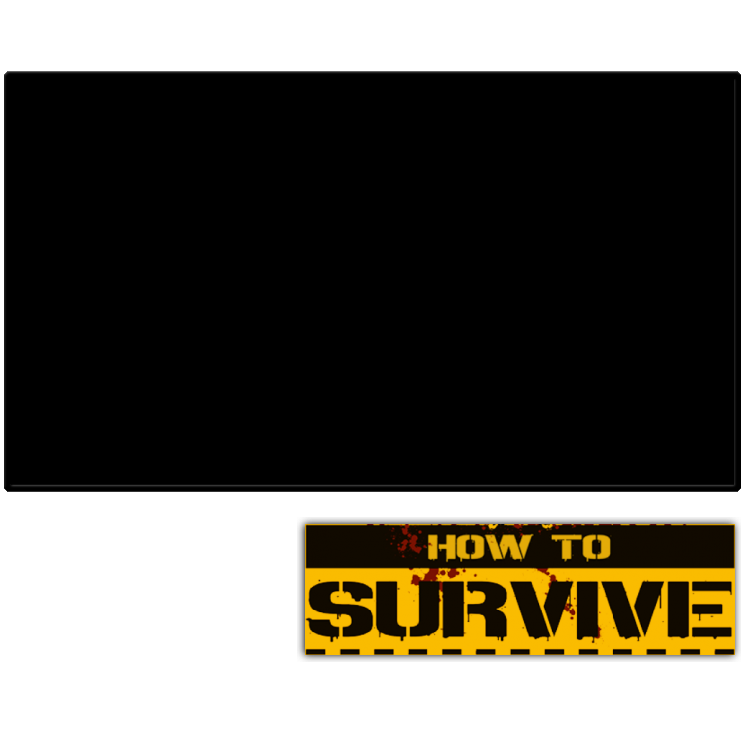 How To Survive — mixrbv2 (WOR)