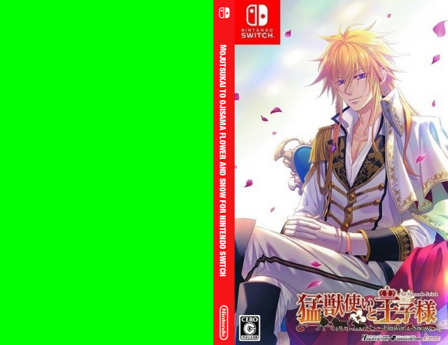 Mojutsukai To Ojisama Flower And Snow For Nintendo Switch — box-texture (JP)