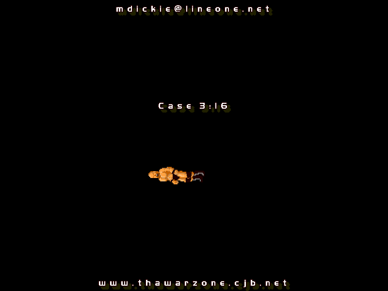 Case 316 box art