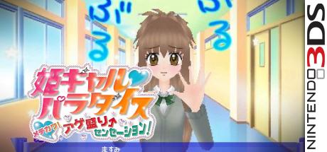 Hime Girl Paradise - Mechikawa! Agemori Sensation! — steamgrid