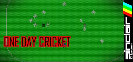 One Day Cricket — steamgrid