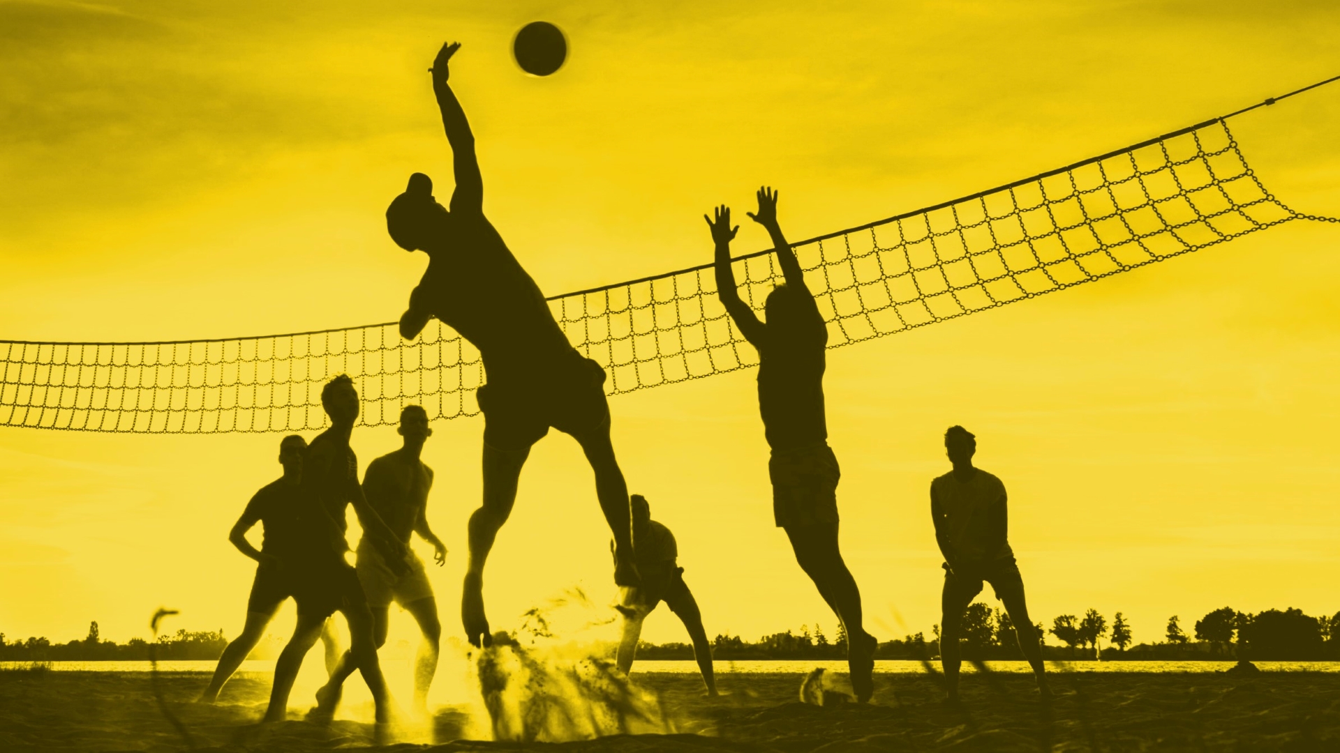 Beach Volley — fanart