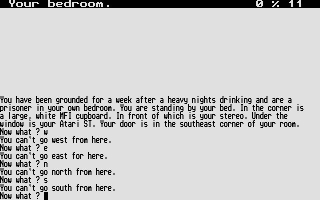 Nethack - The Adventure — ss (WOR)