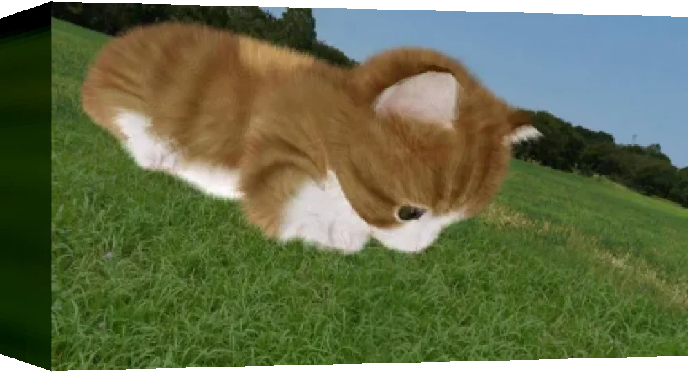Aabs Animals — box-3D (EU)
