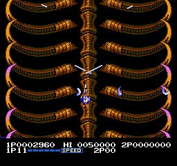Salamander — ss (WOR)