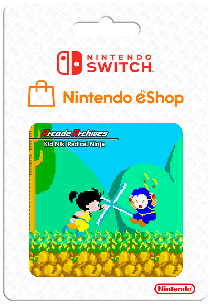Arcade Archives Kid Niki Radical Ninja — support-2D (CUS)