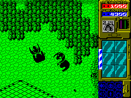 Black Raven 2 — ss (WOR)