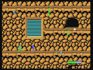 Calvin — ss (WOR)