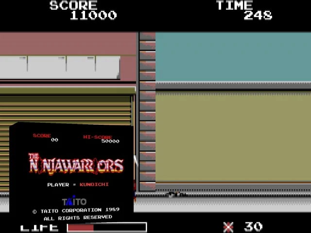 The Ninja Warriors — mixrbv2 (WOR)