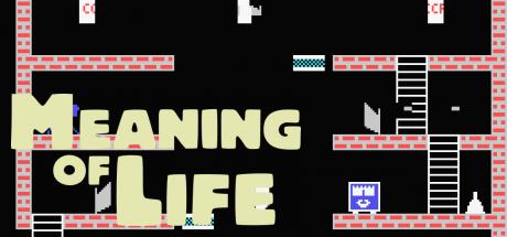 Meaning Of Life — steamgrid