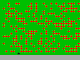 Mystical Diamonds — ss (WOR)