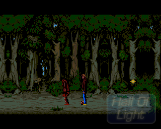 Time Runners 6 - The Bewitched Forest — ss (WOR)