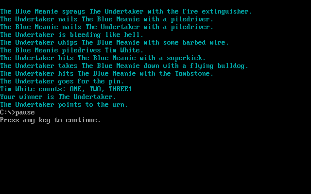 Extreme Wrestling Simulator — ss (WOR)