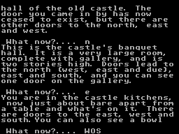 Ring Quest — ss (WOR)