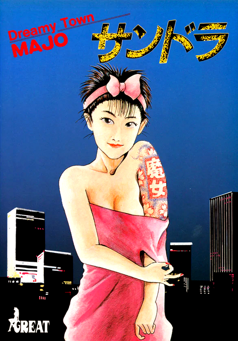 Dreamy Town Majo Sandra box art