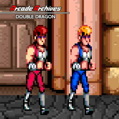 Arcade Archives Double Dragon — support-texture (CUS)