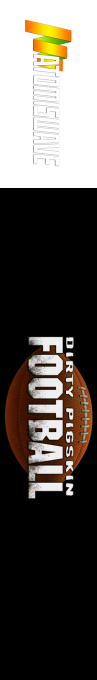 Dirty Pigskin Football — box-2D-side (WOR)