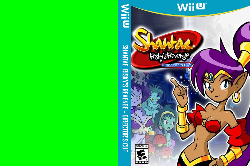 Shantae - Risky's Revenge - Director's Cut — box-texture (US)
