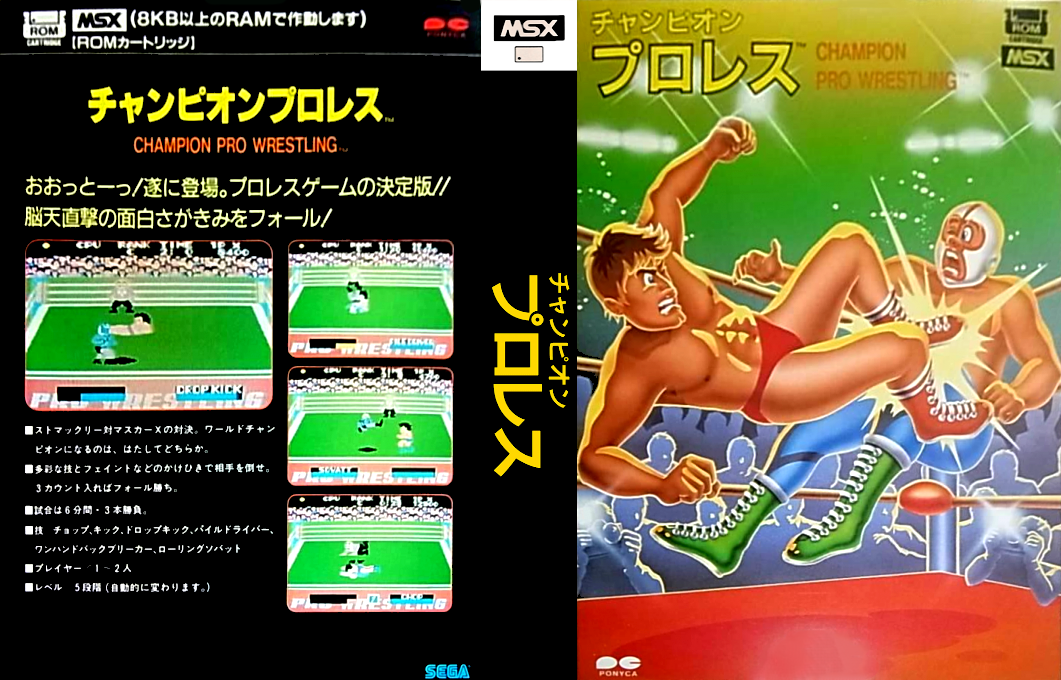 Champion Pro Wrestling — box-texture (JP)