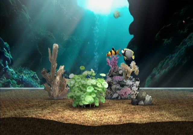 My Aquarium — ss (EU)