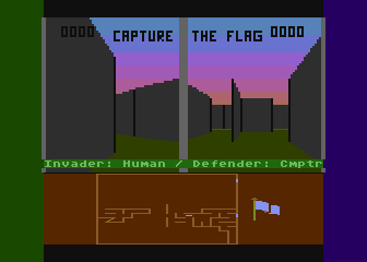 Capture the Flag — ss (WOR)